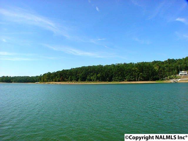 4 County Road 880 - Photo 1