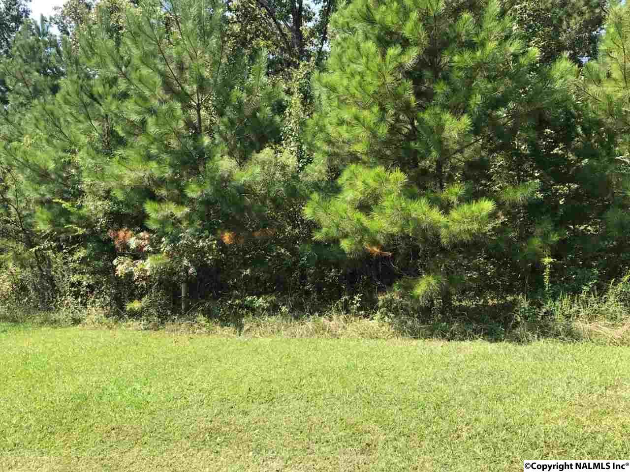 00 Chelsea Lane - Photo 1