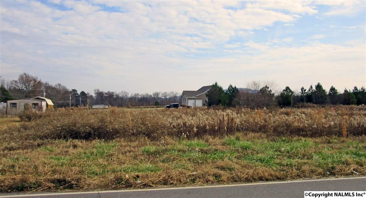 0 Slaughter Road - Photo 1