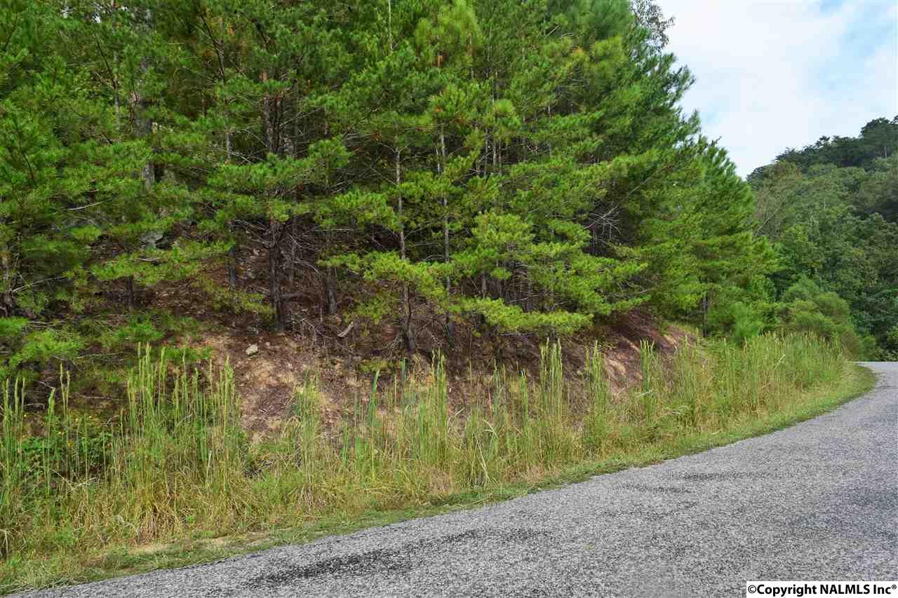 000 Sipsey Pike Road - Photo 1