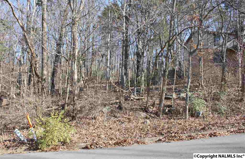 2108 Orba Drive - Photo 1