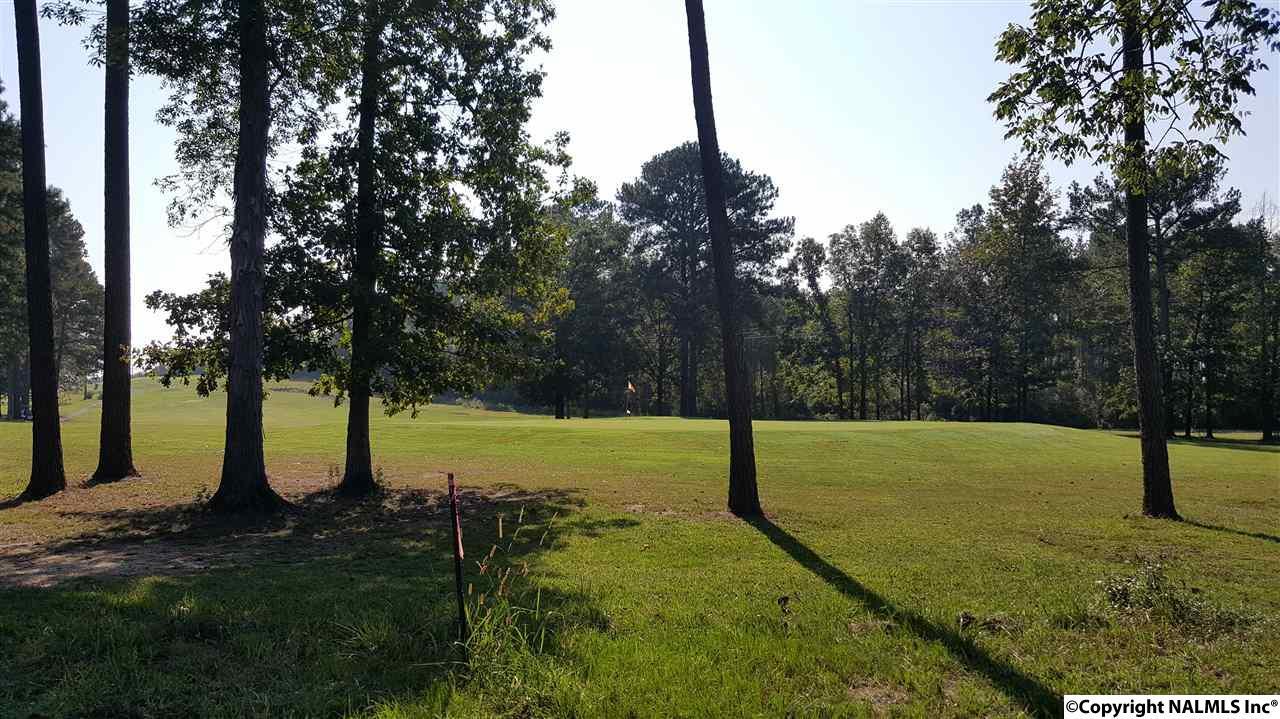 3,4 Alabama Highway 9 - Photo 1