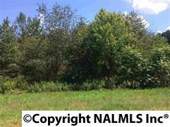0 Hwy 207 - Photo 1