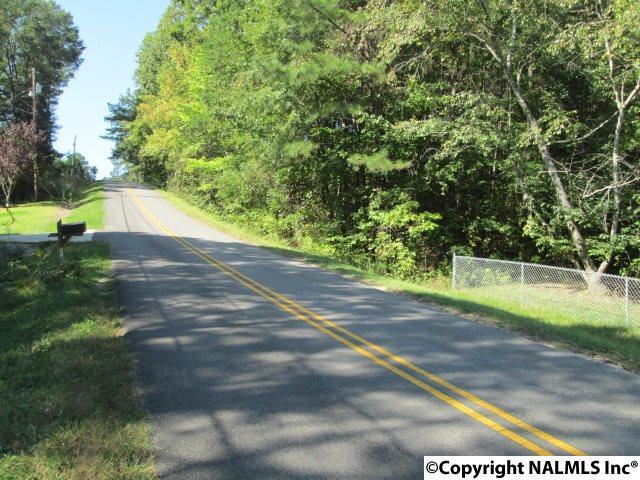 Lister Ferry Road - Photo 1