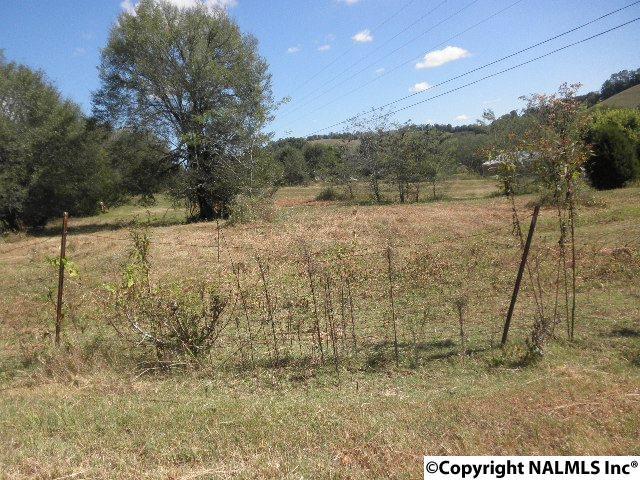 0 Curtis Road - Photo 1