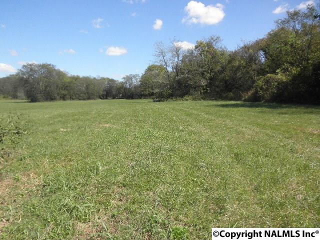00 Curtis Road - Photo 1