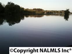 1157 County Road 567 - Photo 1