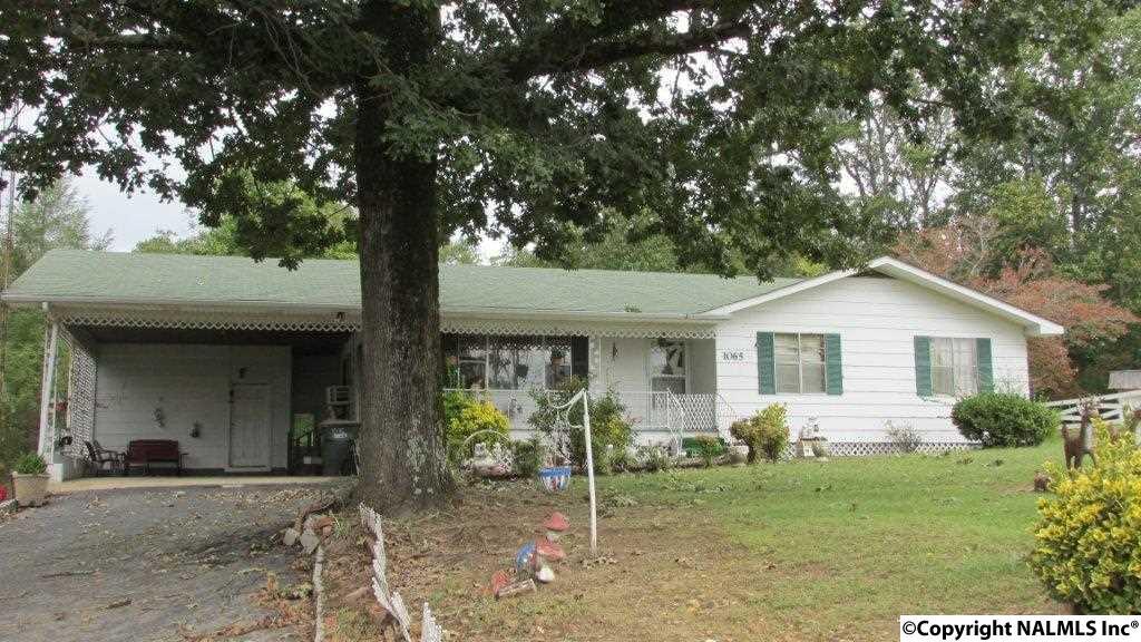 1065 Mountainboro Road - Photo 1