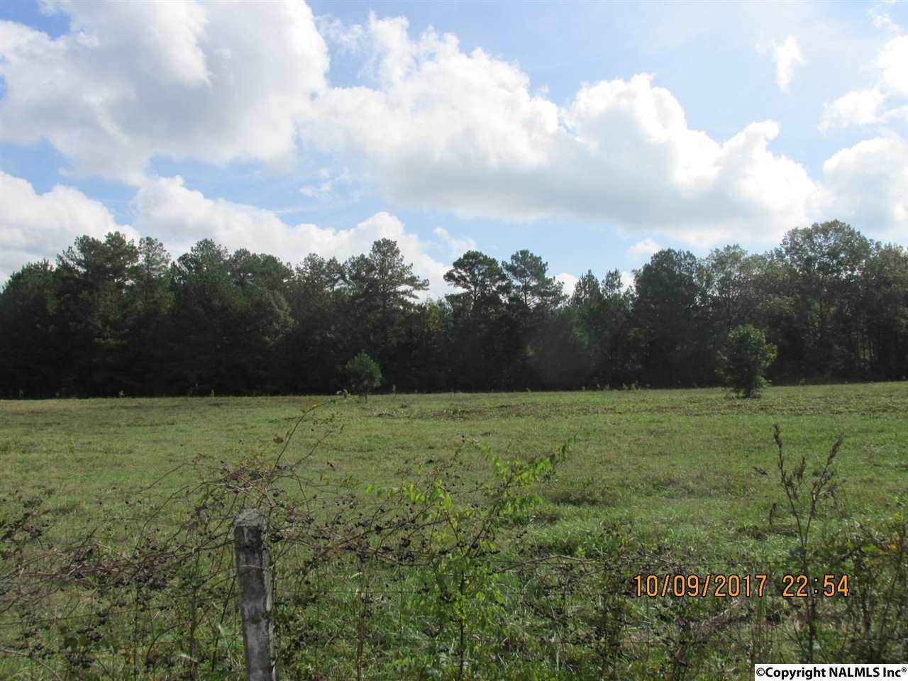 290 Coley Road - Photo 1