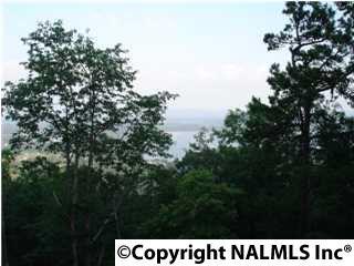 LOT 6 County Road 70 - Photo 1