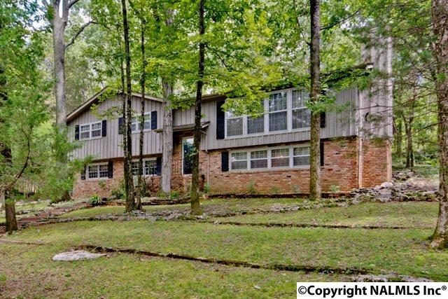 4101 Piedmont Drive - Photo 1