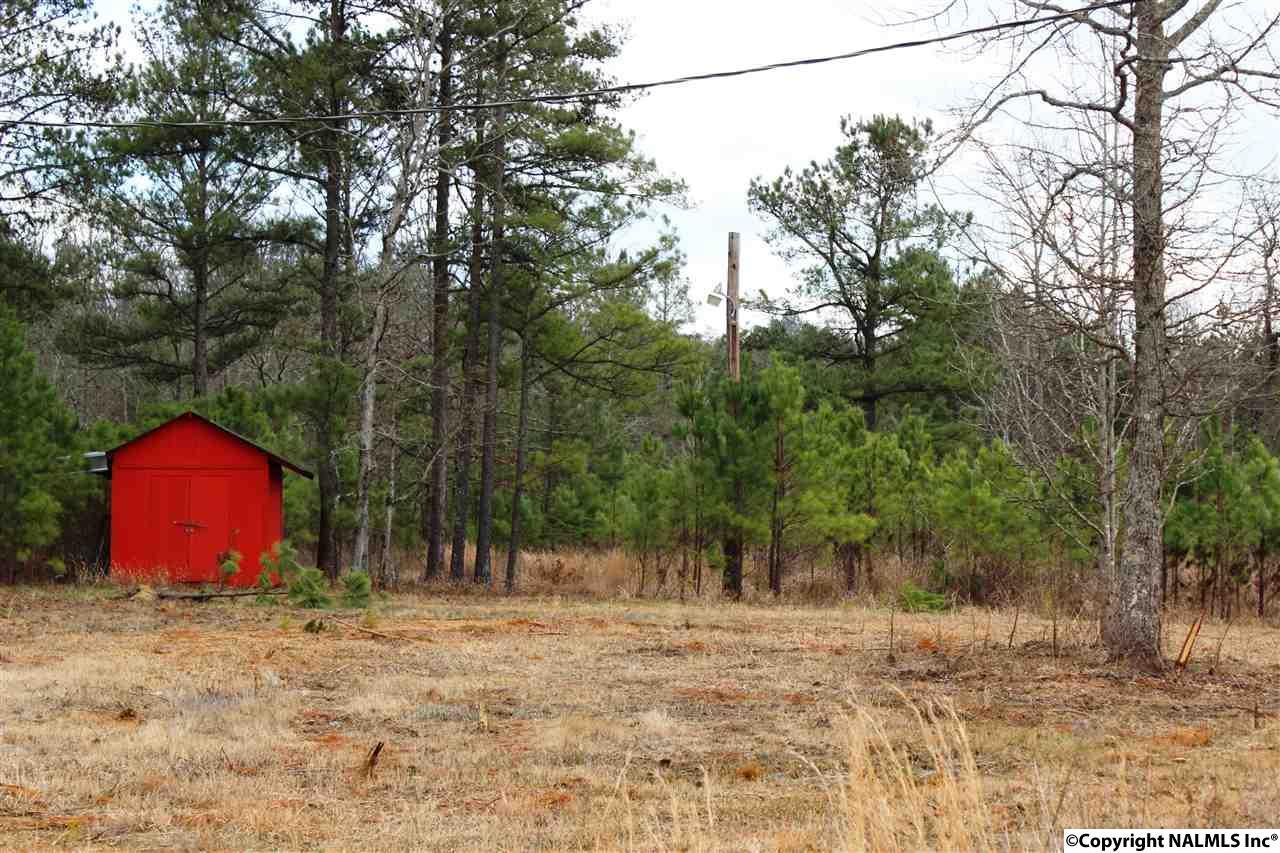 1624 County Road 16 - Photo 1