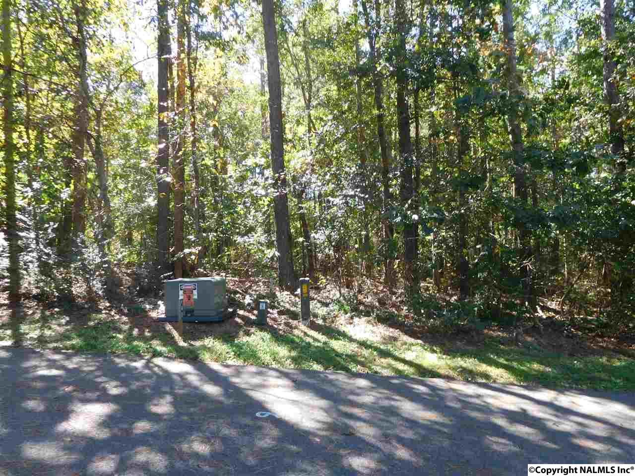 Savannah Circle - Photo 1