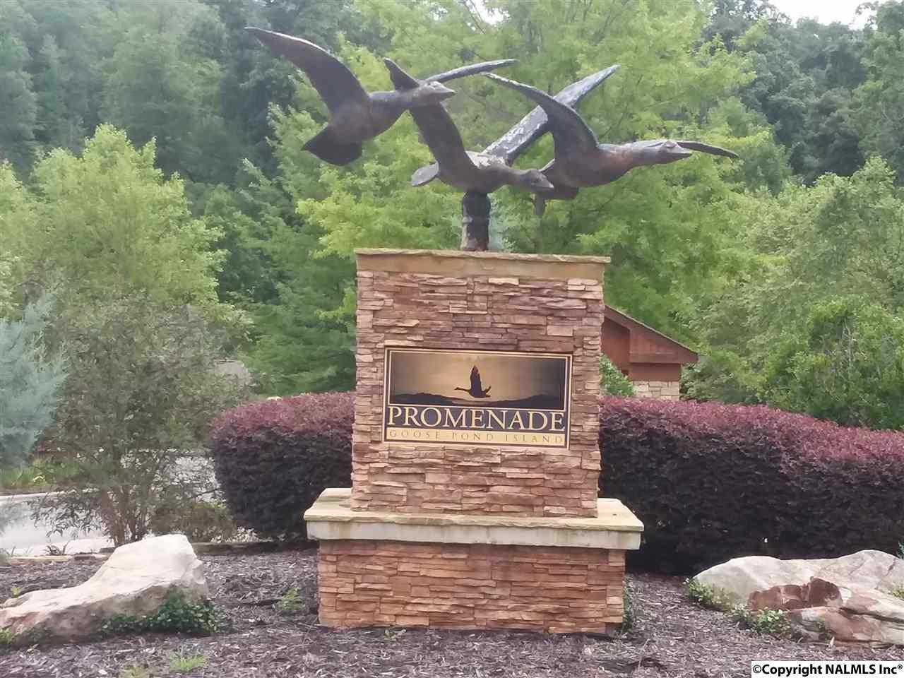 00 Monte Sano Drive - Photo 1