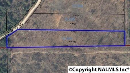 Lot 12 County Road 812 - Photo 1