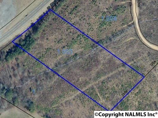 Lot 2 Alabama Hwy 68 - Photo 1