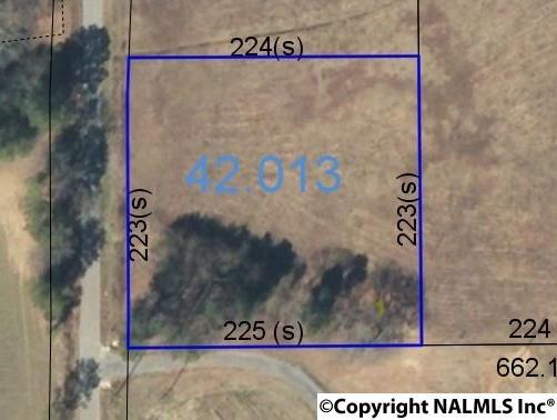 Lot 1D County Road 113 - Photo 1