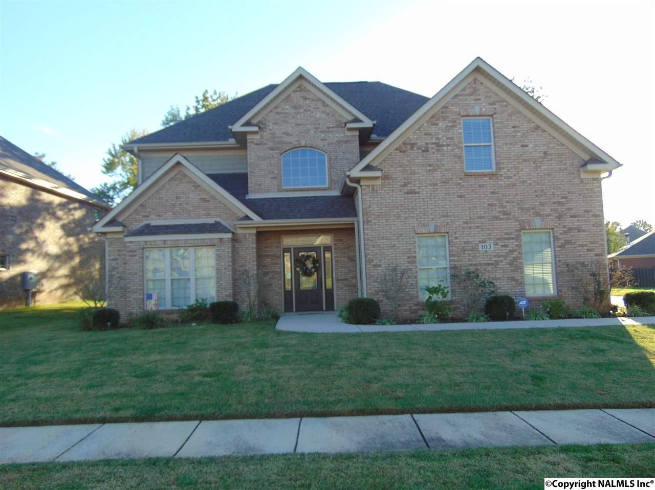 103 Castletown Lane - Photo 1