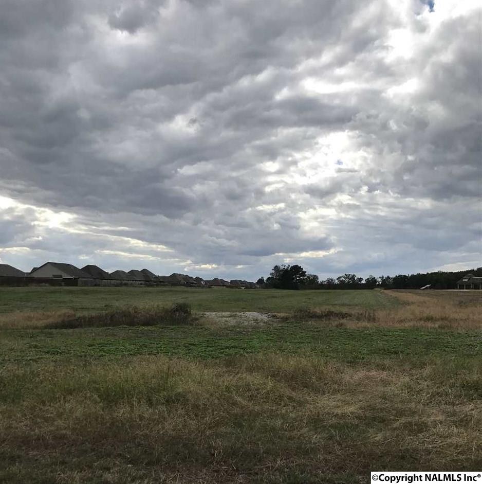 0000 Oakdale Road - Photo 1