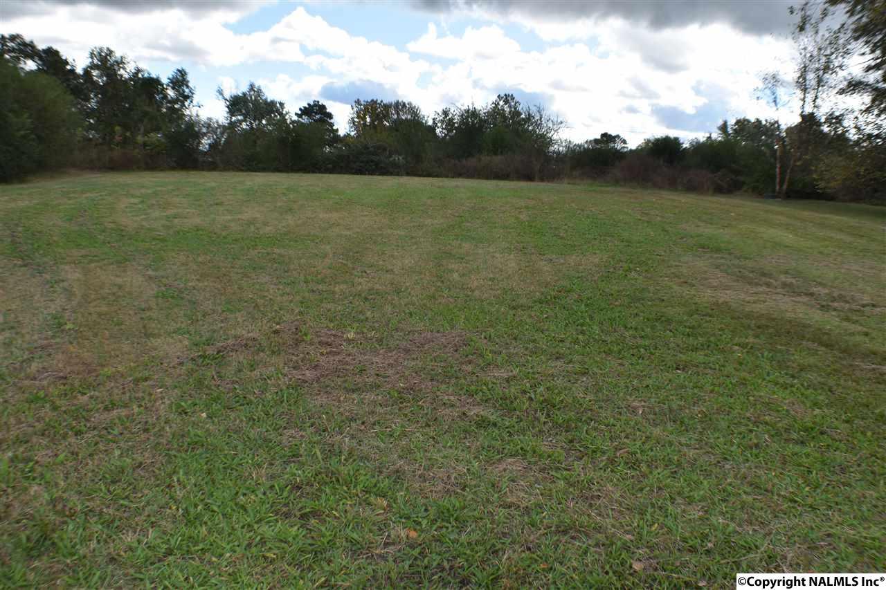 lot2 Rainbow Avenue - Photo 1