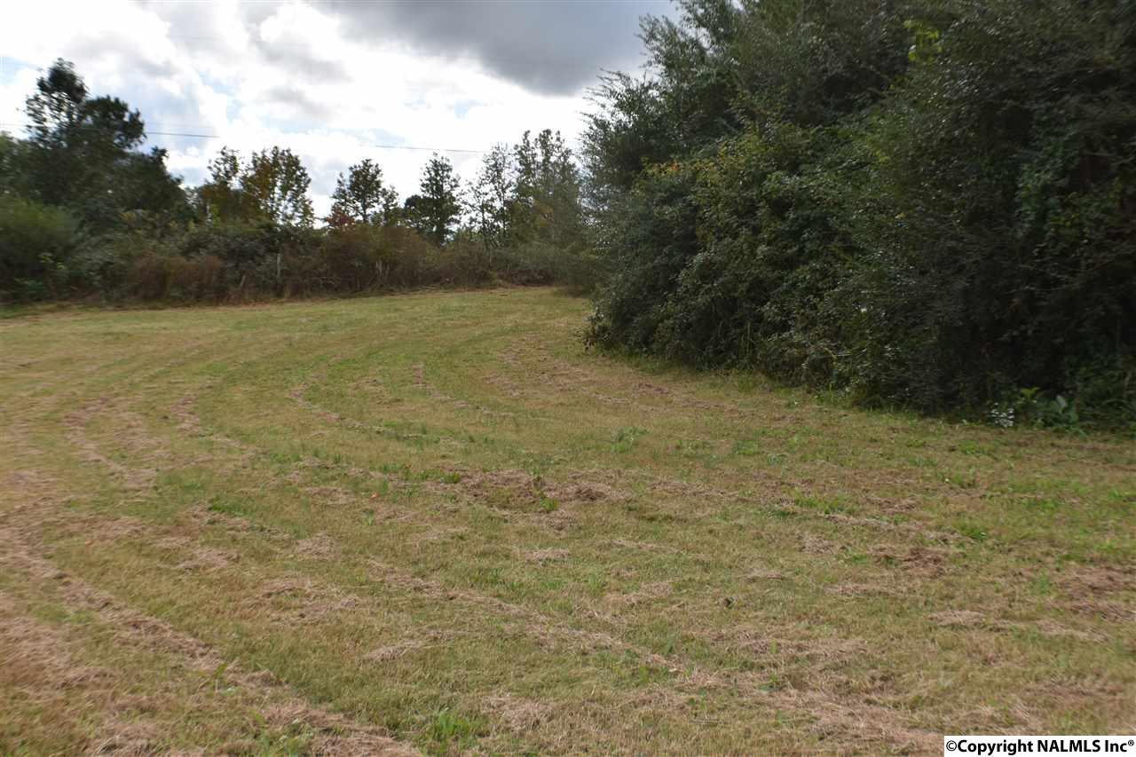 lot3 Rainbow Avenue - Photo 1
