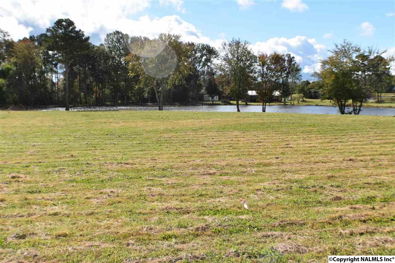 lot 9 Michael Street - Photo 1