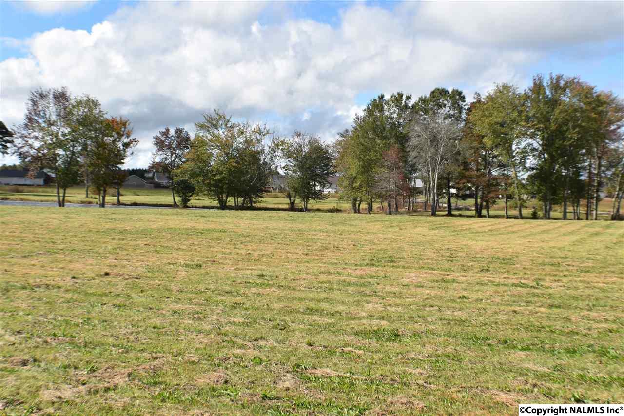 lot11 Rainbow Avenue - Photo 1