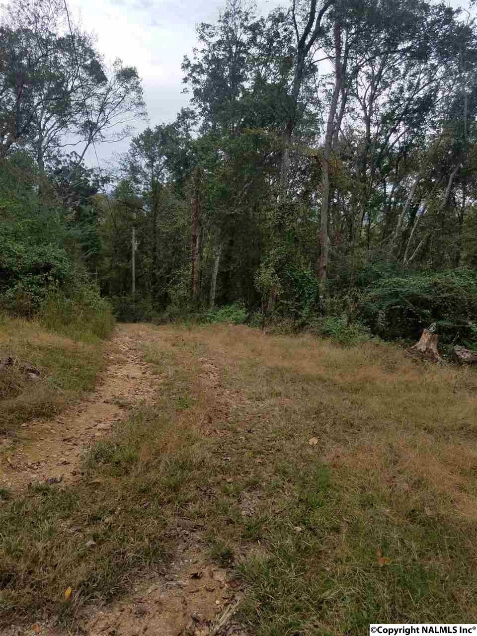 Jeffery Drive - Photo 1