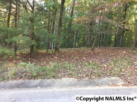 00 Spindletop Drive - Photo 1