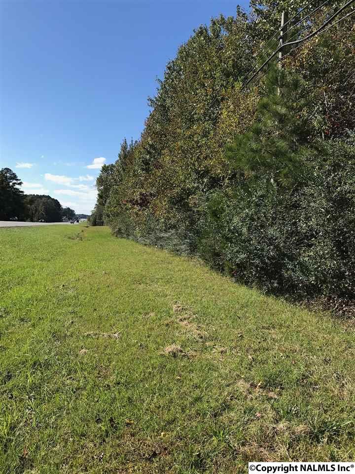 00 Us Highway 431 - Photo 1