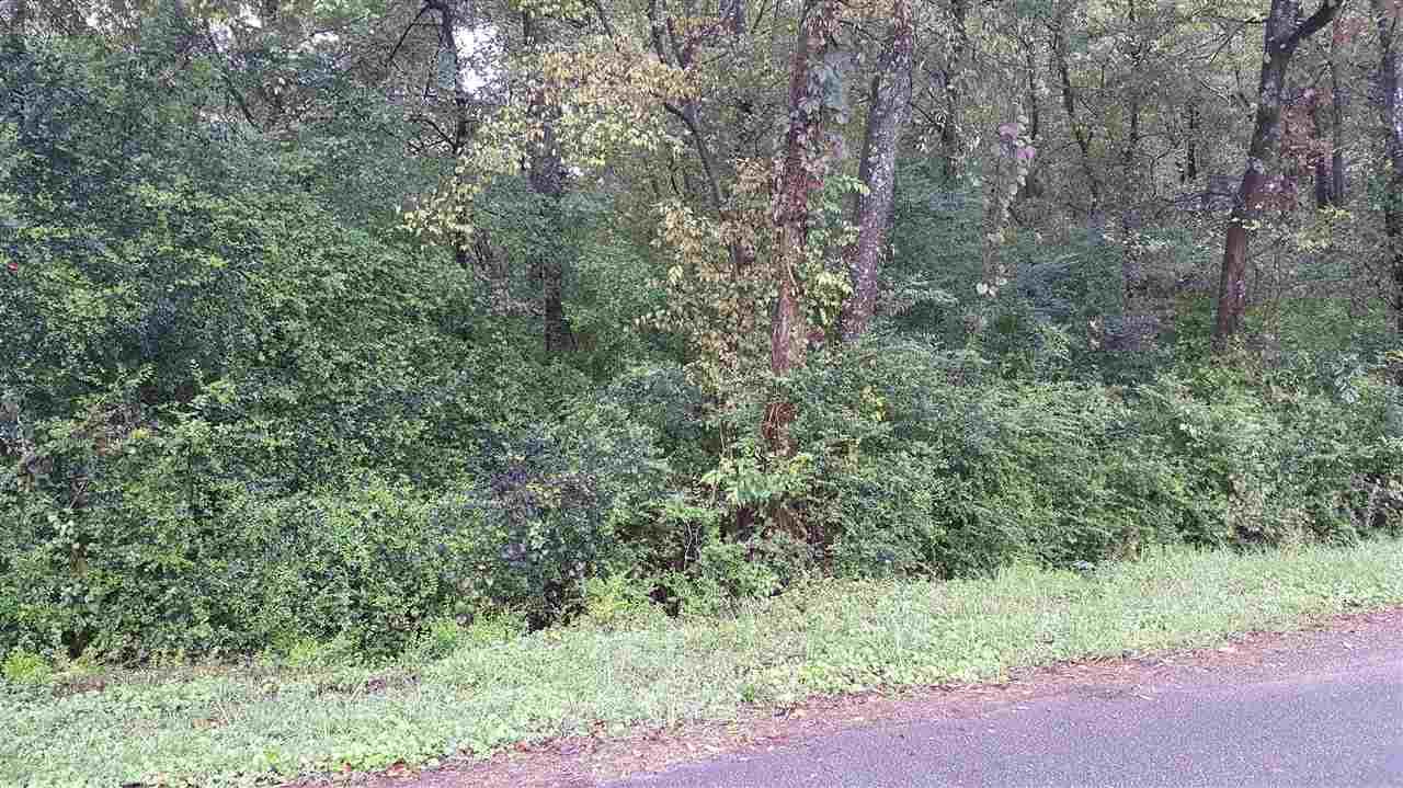 Lot 2 Palmer Street - Photo 1