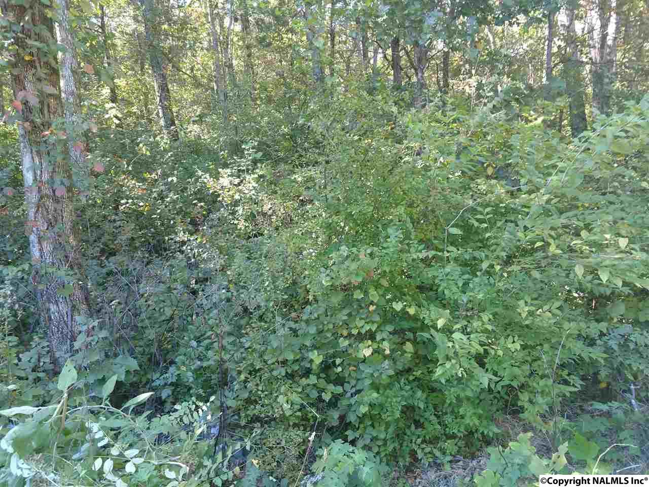 9999 Bayreuth Drive - Photo 1