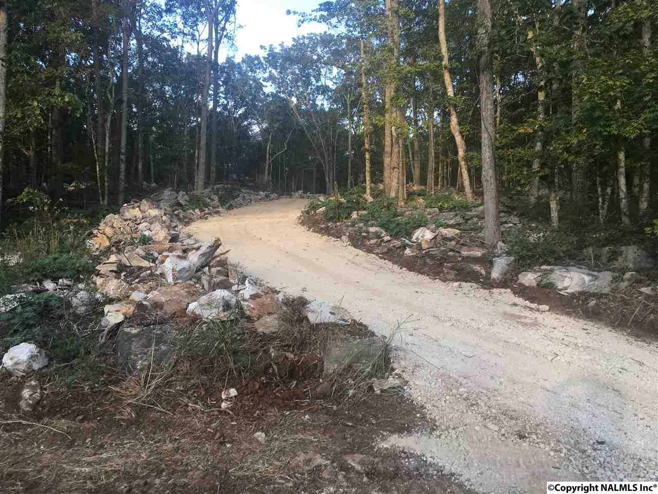 2607 Grande Woods Drive - Photo 1