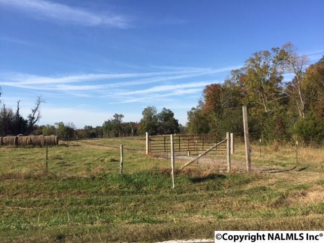 0 Highway 55 - Photo 1