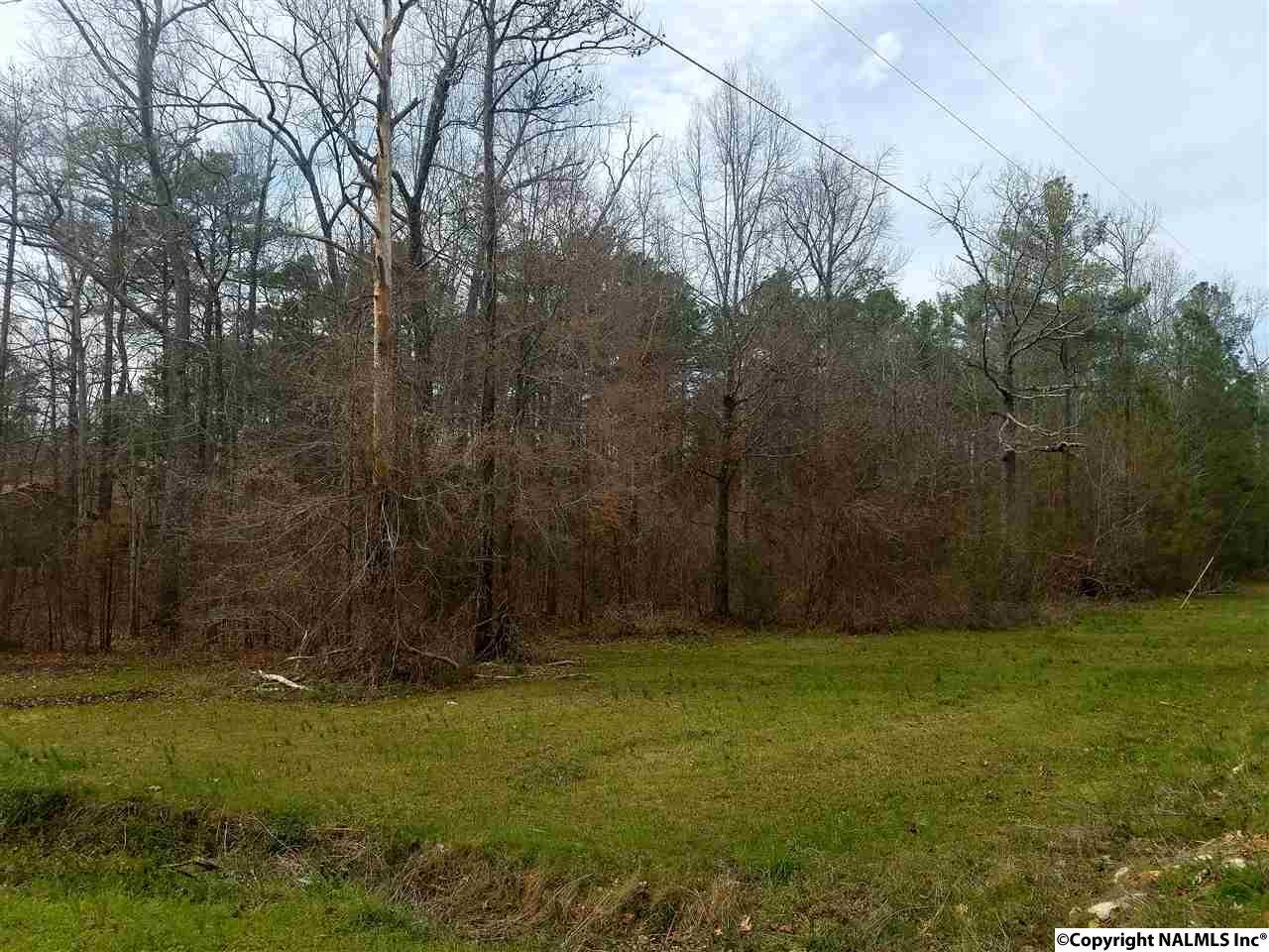 NA County Road 461 - Photo 1