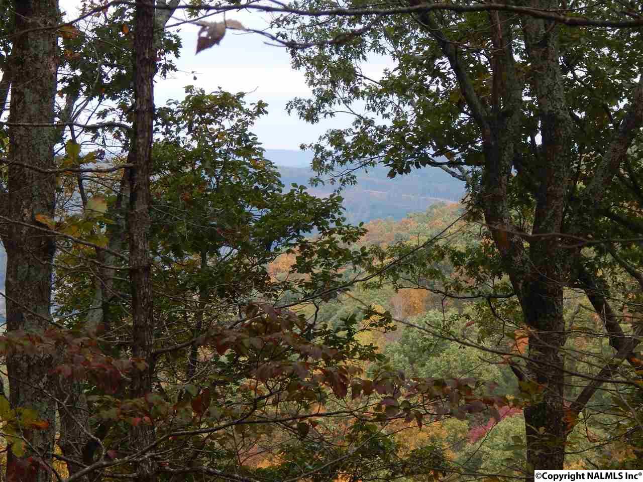 County Road 822 - Photo 1