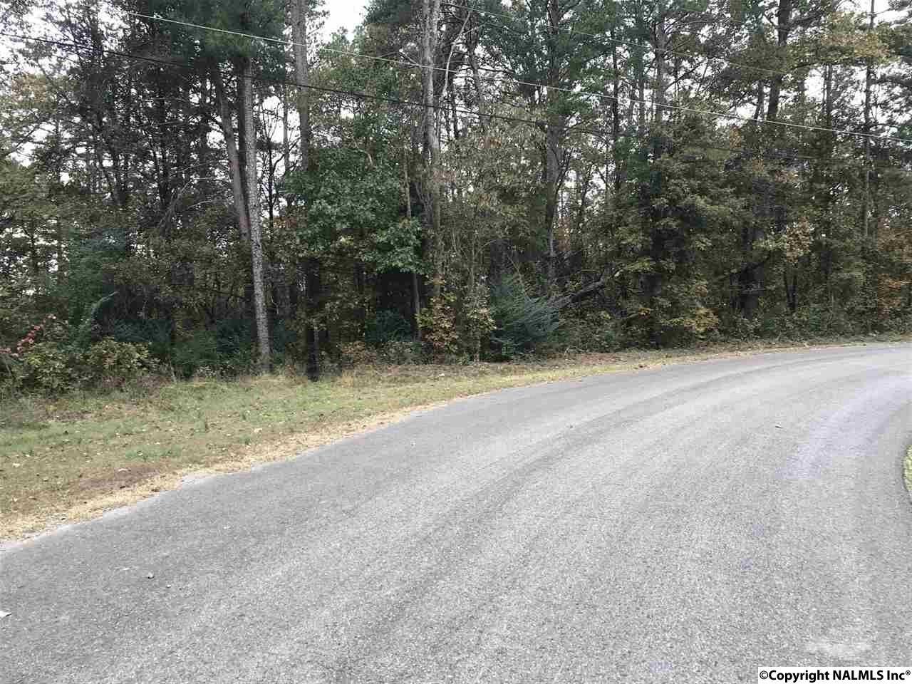 0 Valley View Drive - Photo 1