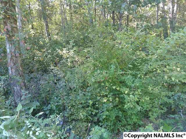 10012 Bayreuth Drive - Photo 1
