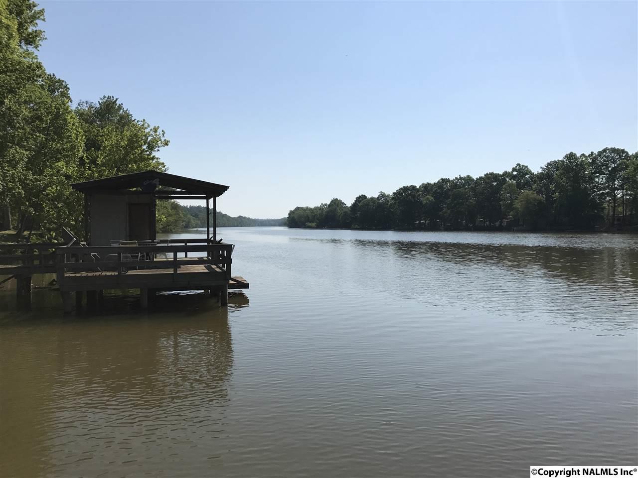 lot 43 River Road - Photo 1