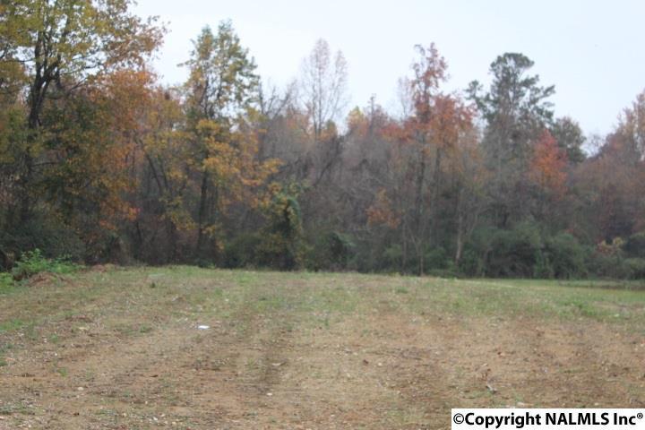 George Wallace Drive - Photo 1