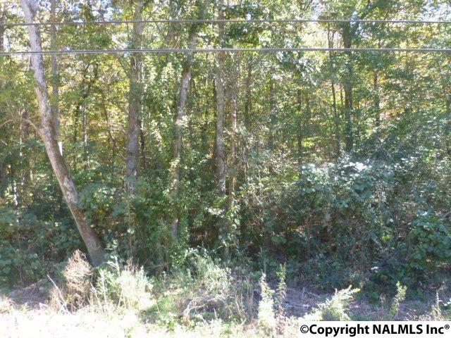 Lot 6 Long Hollow Circle - Photo 1