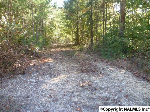 Lot 7 County Road 88 - Photo 1