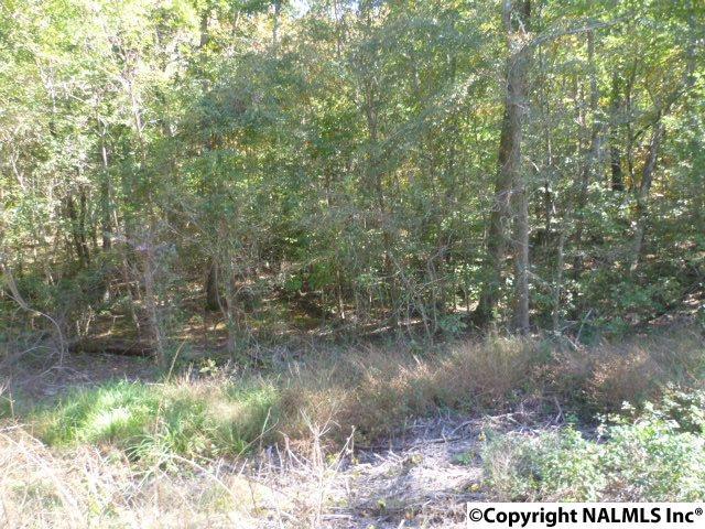 Lot 10 County Road 88 - Photo 1