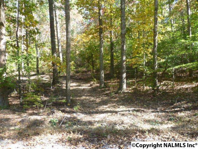 Lot 11 County Road 88 - Photo 1