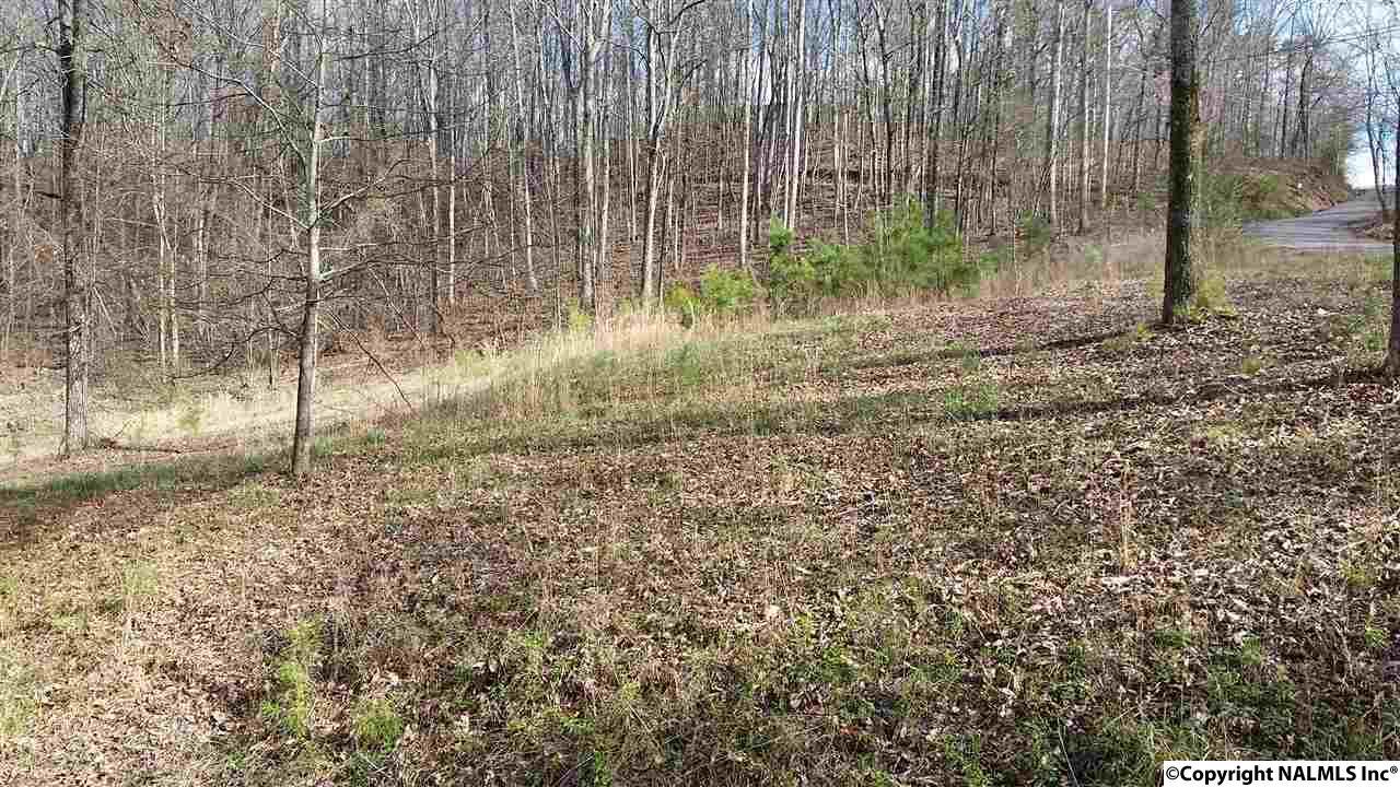 1311 Sibert Drive - Photo 1