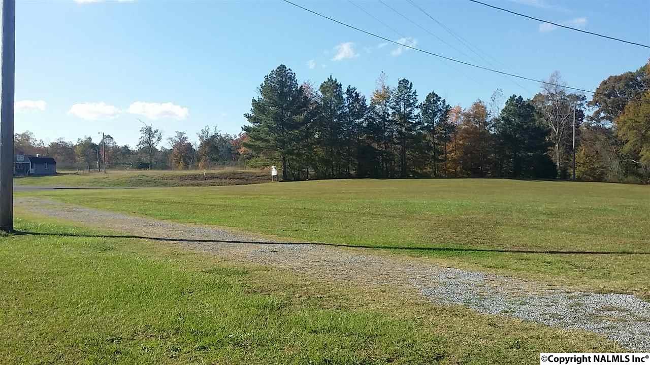 110 Alabama Highway 68 - Photo 1