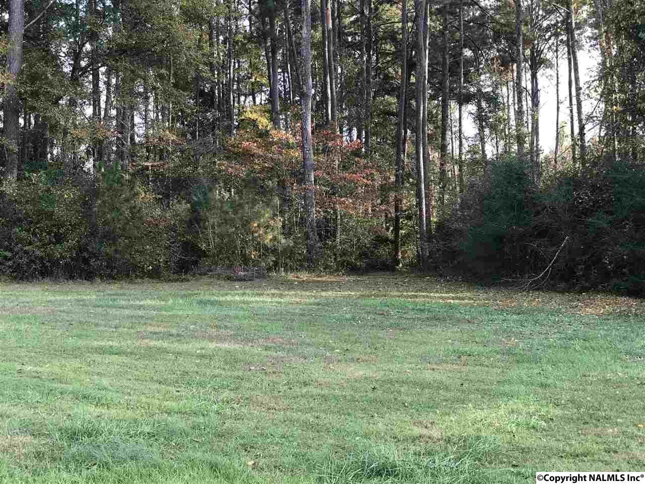 0 Neighbors Lane - Photo 1