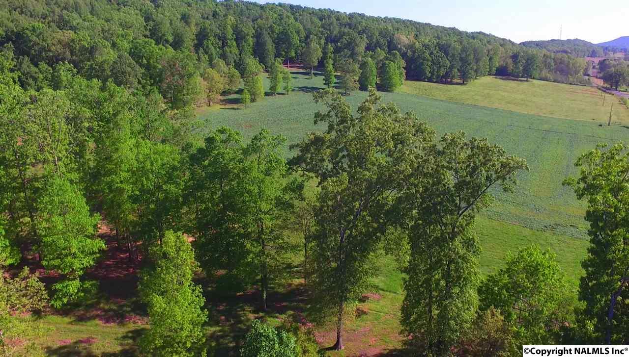 2480 County Road 608 - Photo 1