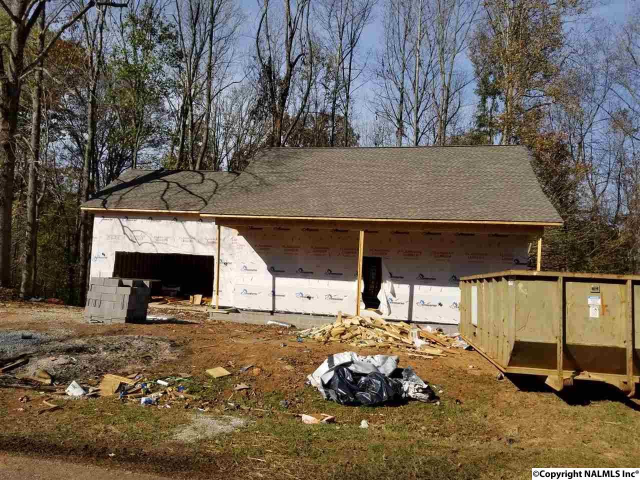 18175 Sulfur Creek Drive - Photo 1