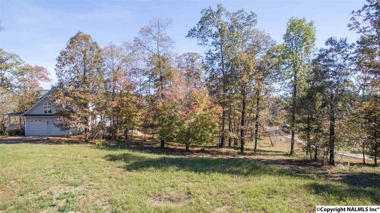 Lot 28 Brushy Creek Overlook - Photo 1